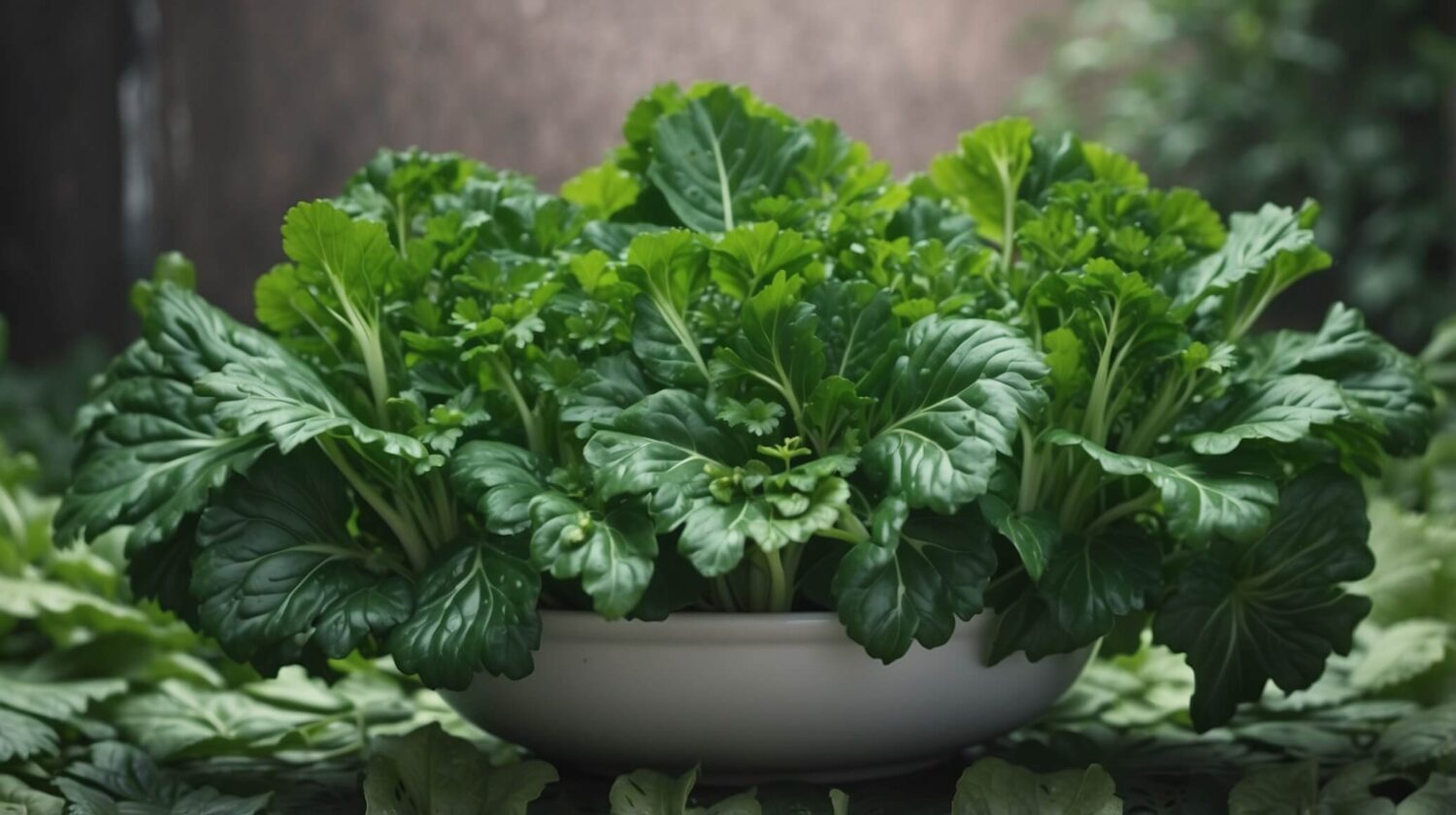 Benefits of Tatsoi