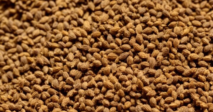 What is Ajwain? Surprising Benefits of Ajwain Spice