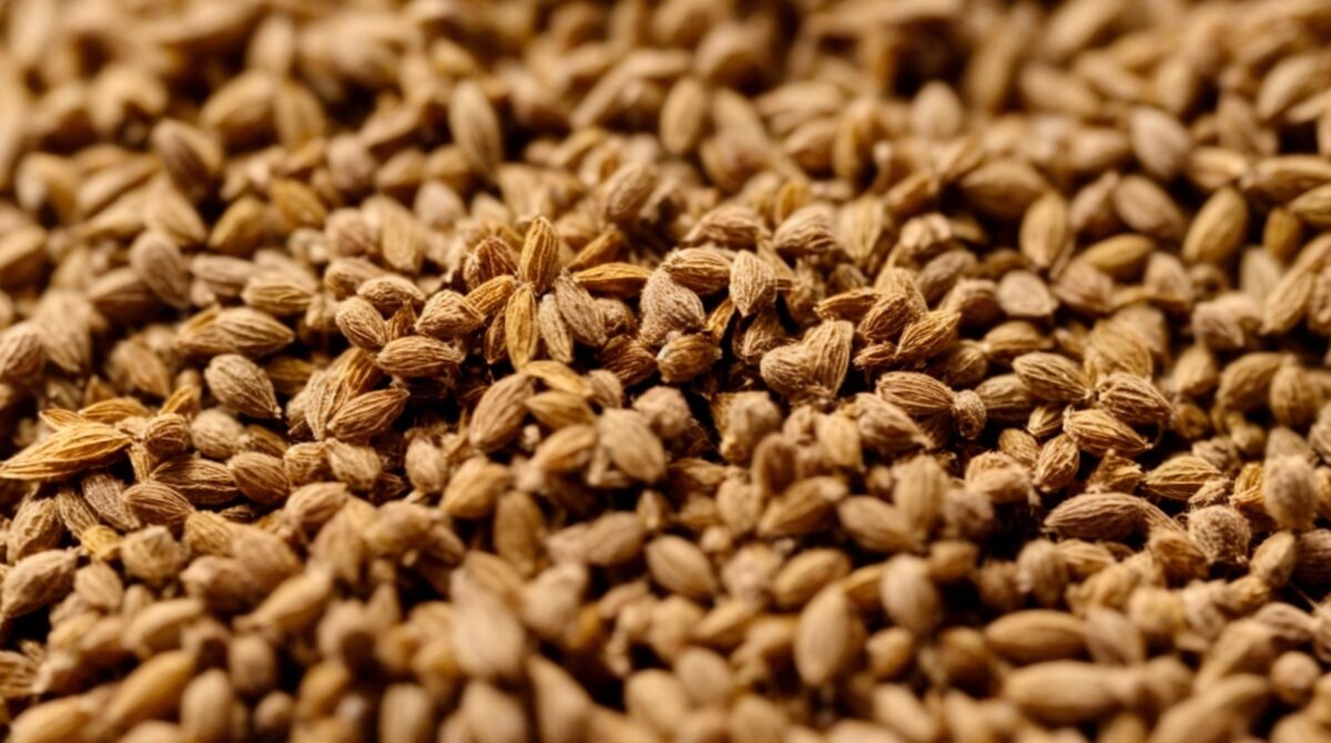 Benefits of Ajwain