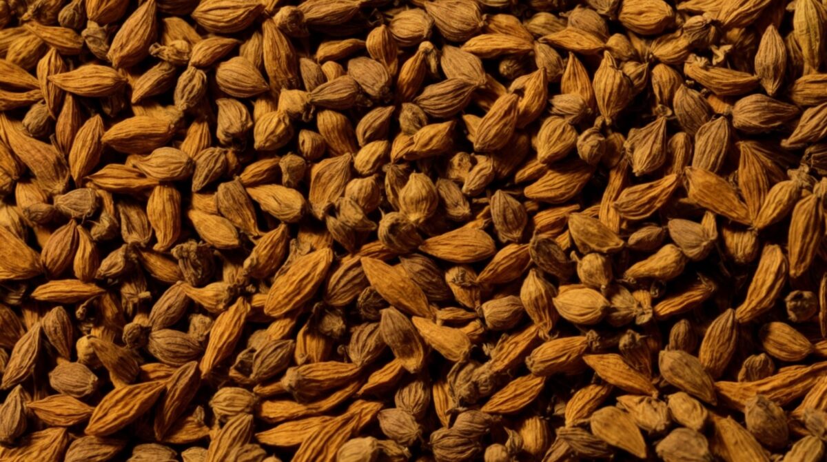 Why Use Cardamom Seeds?